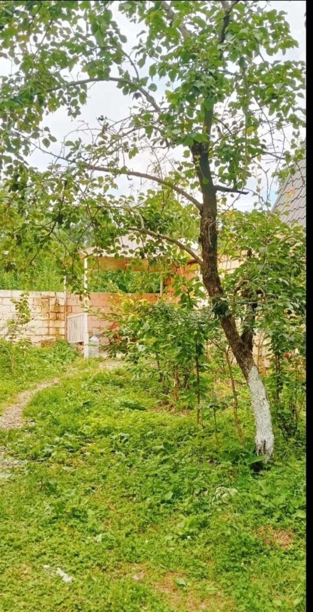 80 kv. m, 3 otaqlı, İnternet, Telefon, Qaz