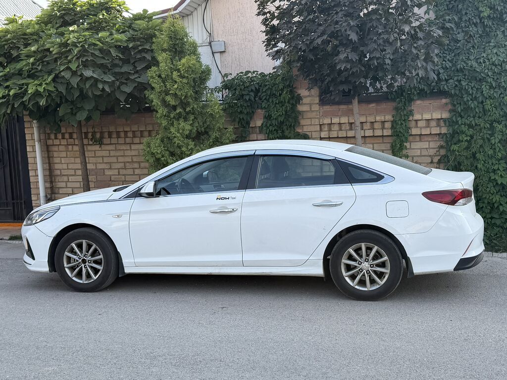 Hyundai Sonata: 2019 г., 2 л, Газ, Седан: фото 7