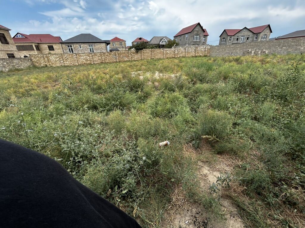 6 sot, Tikinti, Mülkiyyətçi, Kupça (Çıxarış)
