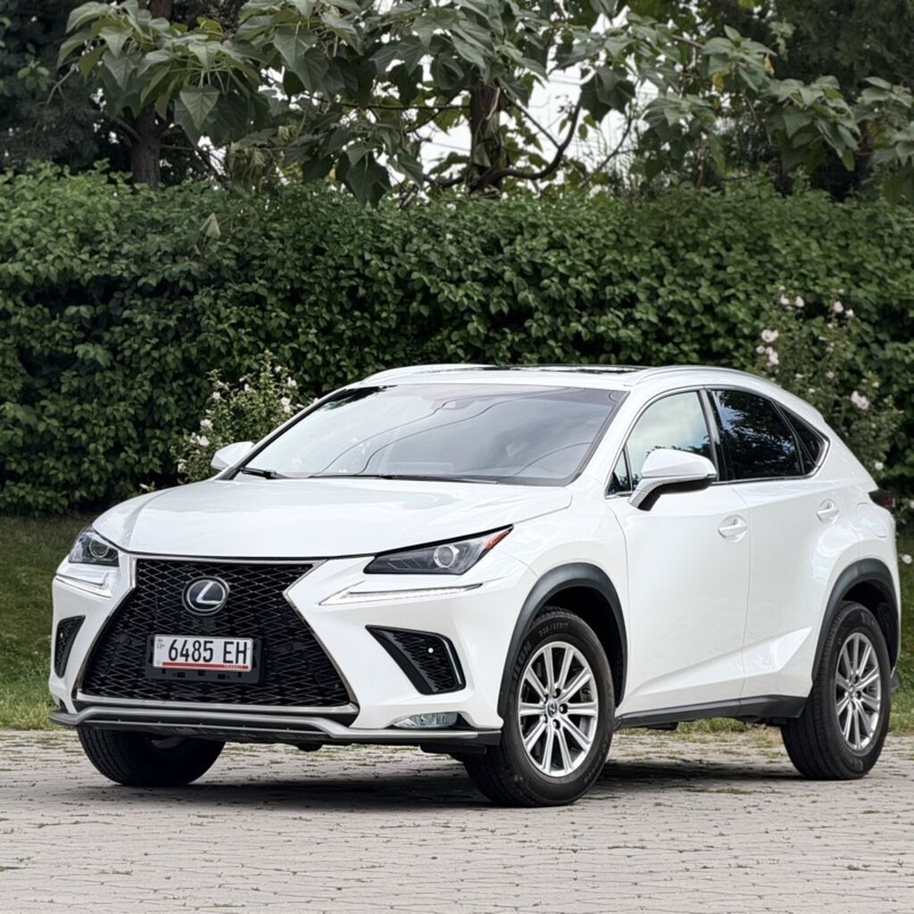 Lexus NX: 2020 г., 2 л, Автомат, Бензин, Кроссовер: фото 2