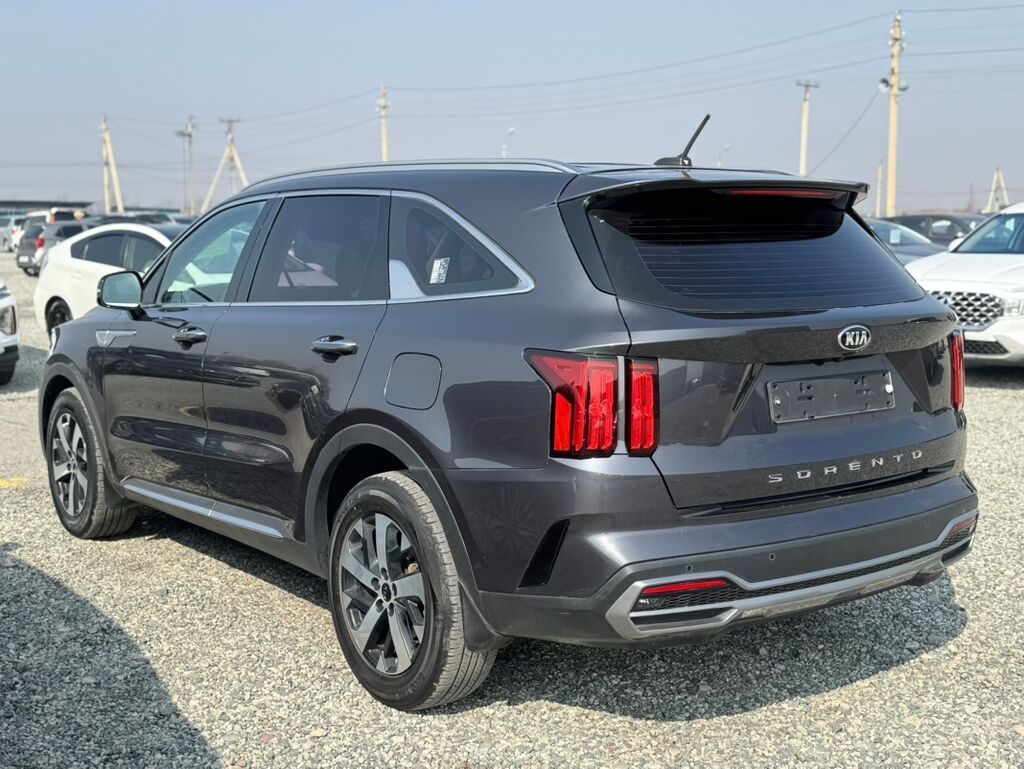 Kia Sorento: 2020 г., 2.2 л, Робот, Дизель, Кроссовер — фото 7