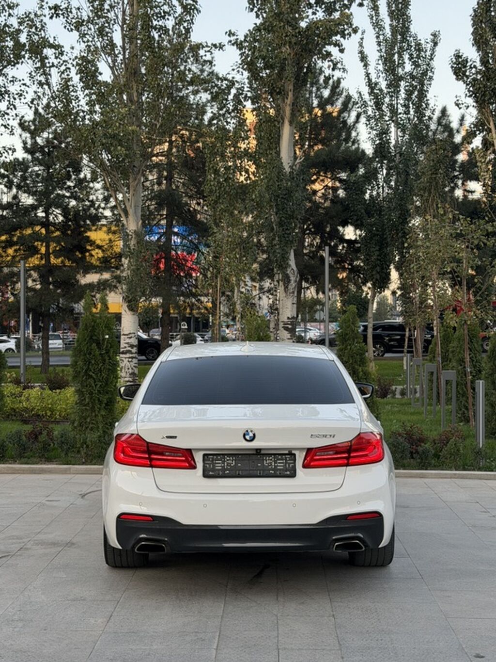 BMW 530: 2019 г., 2 л, Автомат, Бензин, Седан: фото 3