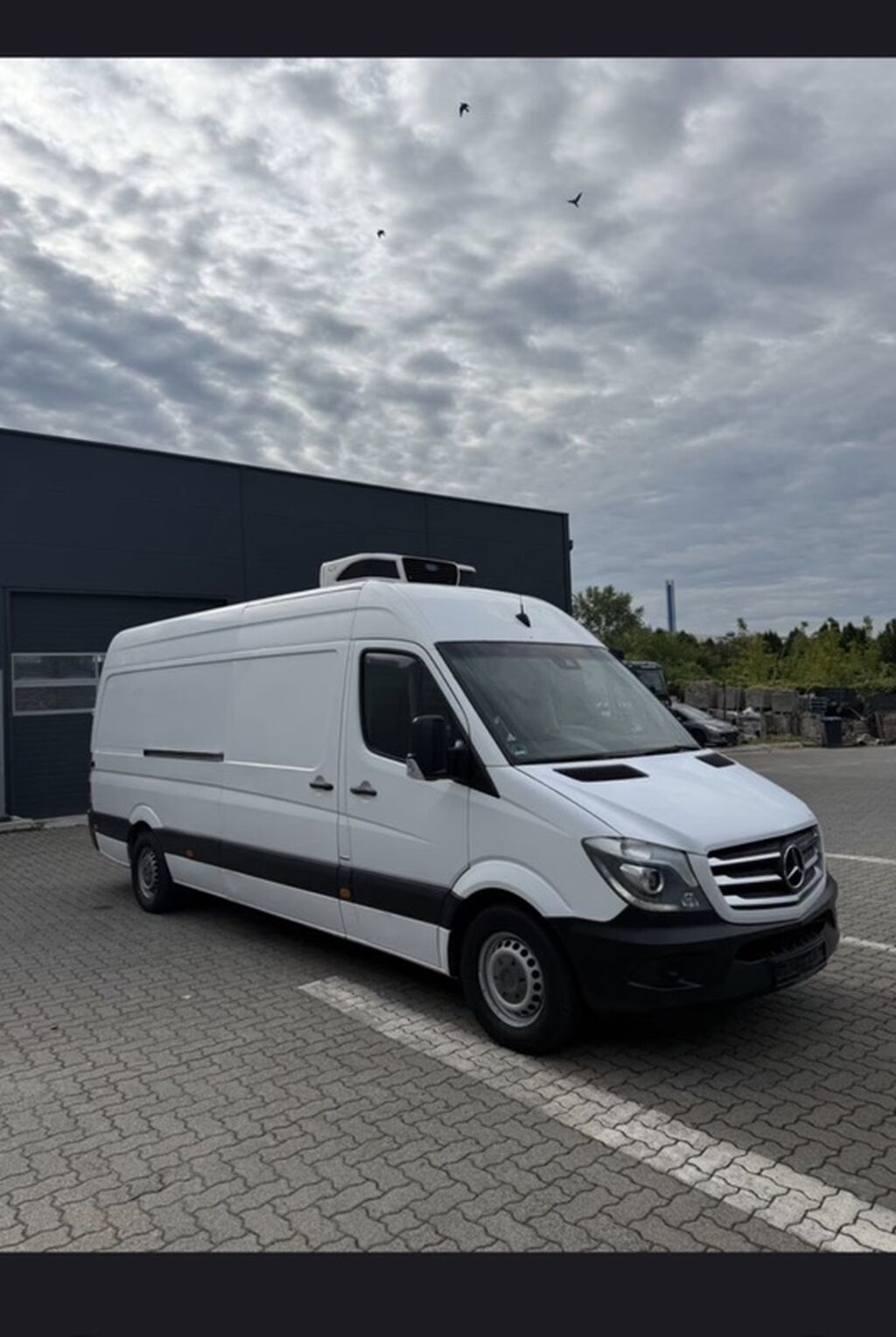 Mercedes-Benz Спринтер: 2014 г.: фото 2