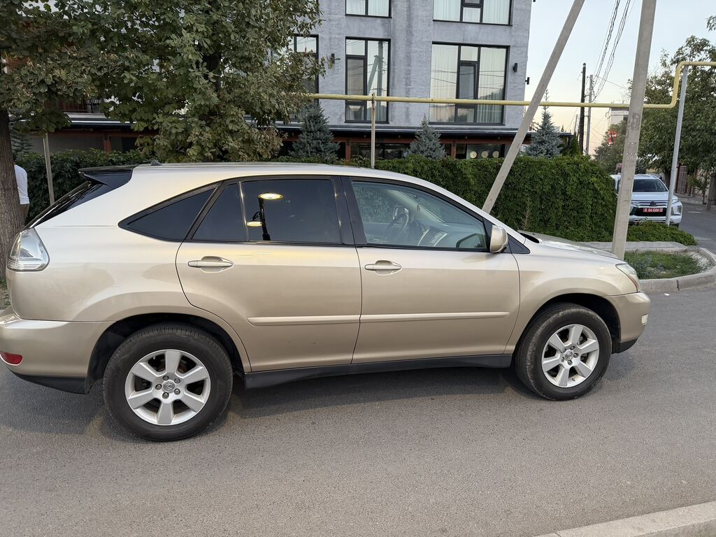 Lexus RX: 2004 г., 3.3 л, Автомат, Бензин, Кроссовер: фото 7