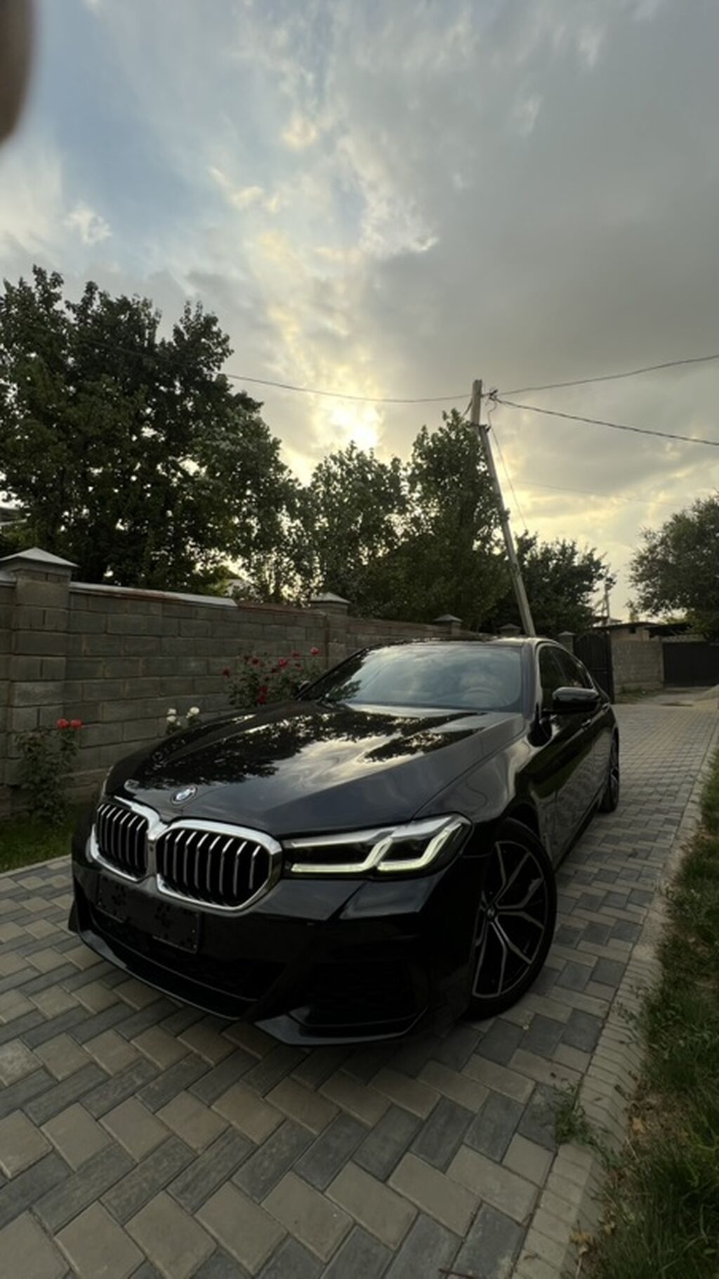 BMW 5 series: 2020 г., 2 л, Автомат, Бензин, Седан: фото 3