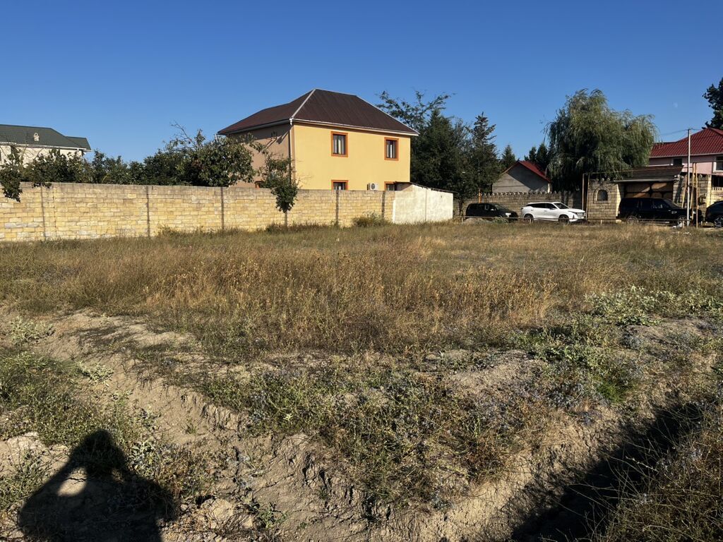 8 sot, Tikinti, Mülkiyyətçi, Kupça (Çıxarış)