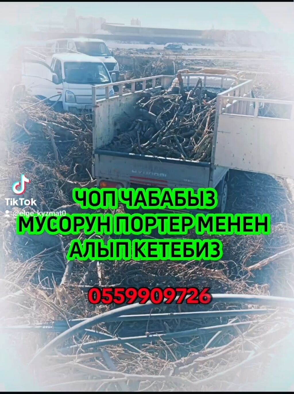 Уборка территории, Уборка двора и сада: фото 2