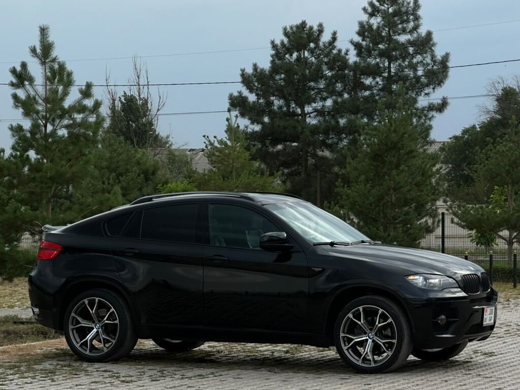 BMW X6: 2009 г., 3 л, Автомат, Бензин, Кроссовер: фото 4