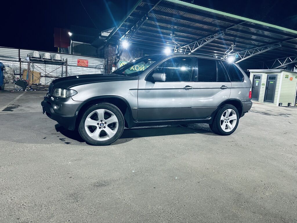 BMW X5: 2004 г., 3 л, Автомат, Дизель, Внедорожник: фото 6