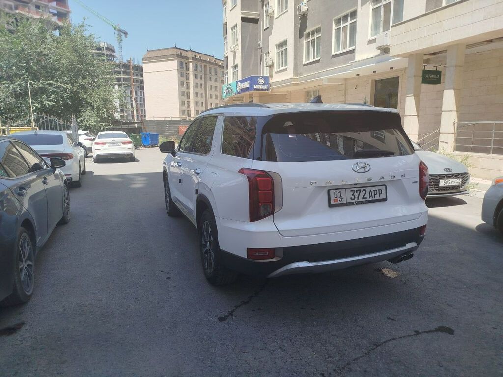 Hyundai Palisade 2019, дизель, автомат, 191 тыс. км: фото 3