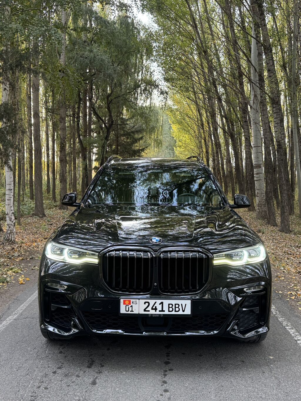 BMW X7: 2019 г., 4.4 л, Бензин, Внедорожник: фото 4