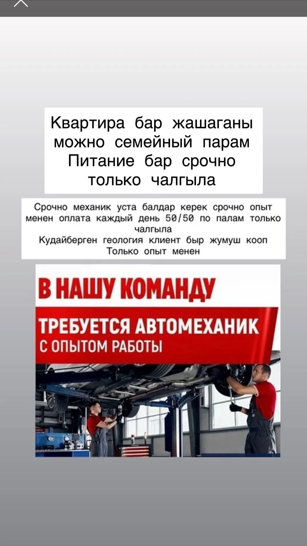Требуется Автомеханик - Диагност, Процент от дохода, Более 5 лет опыта: фото 1