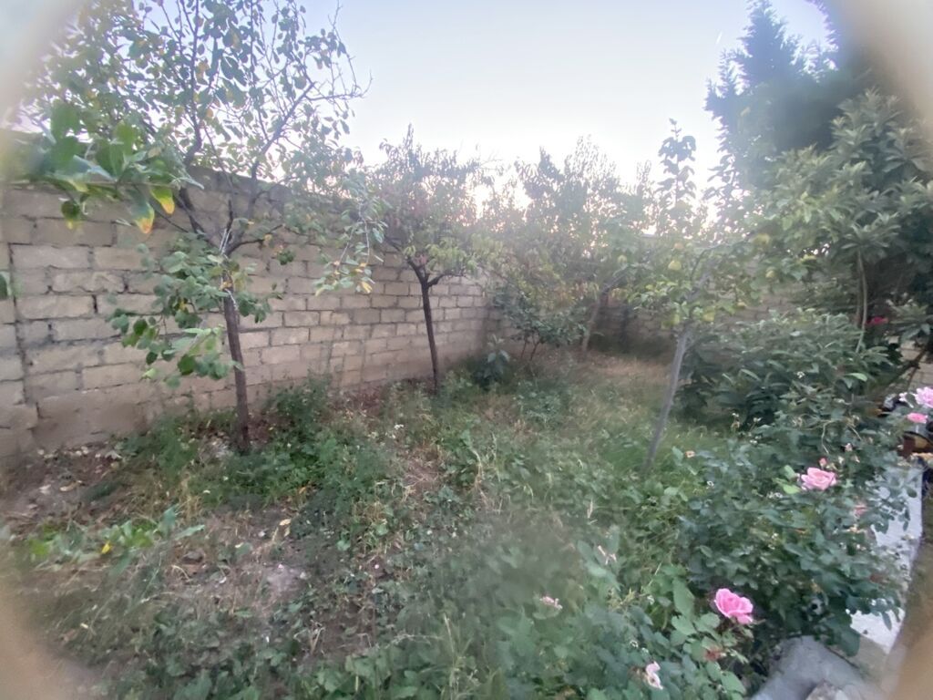 1 otaqlı, 10 kv. m