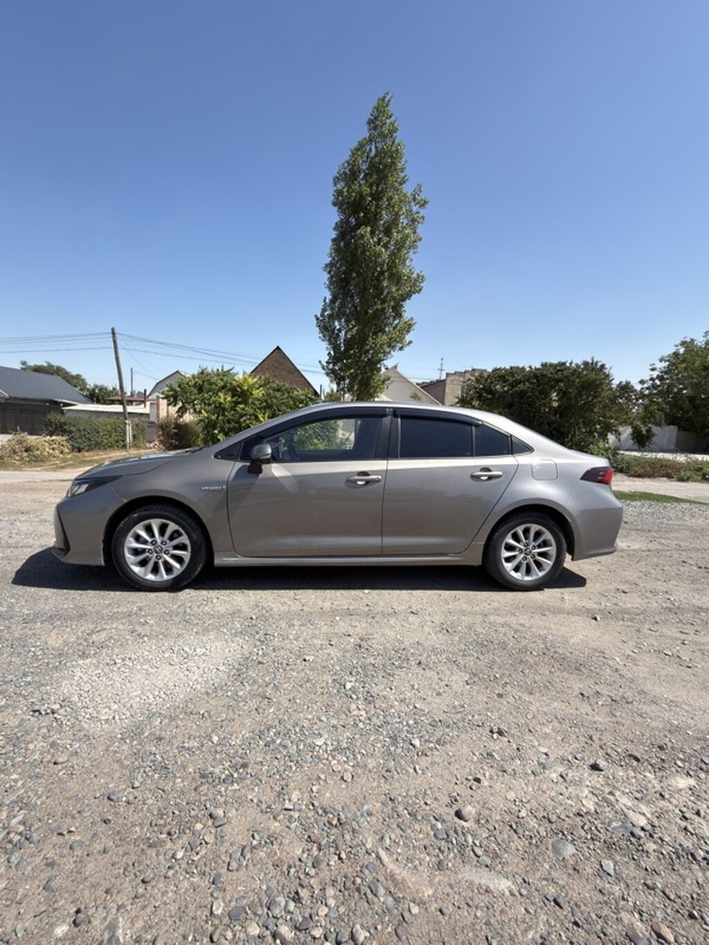 Toyota Corolla: 2020 г., Гибрид, Седан: фото 4