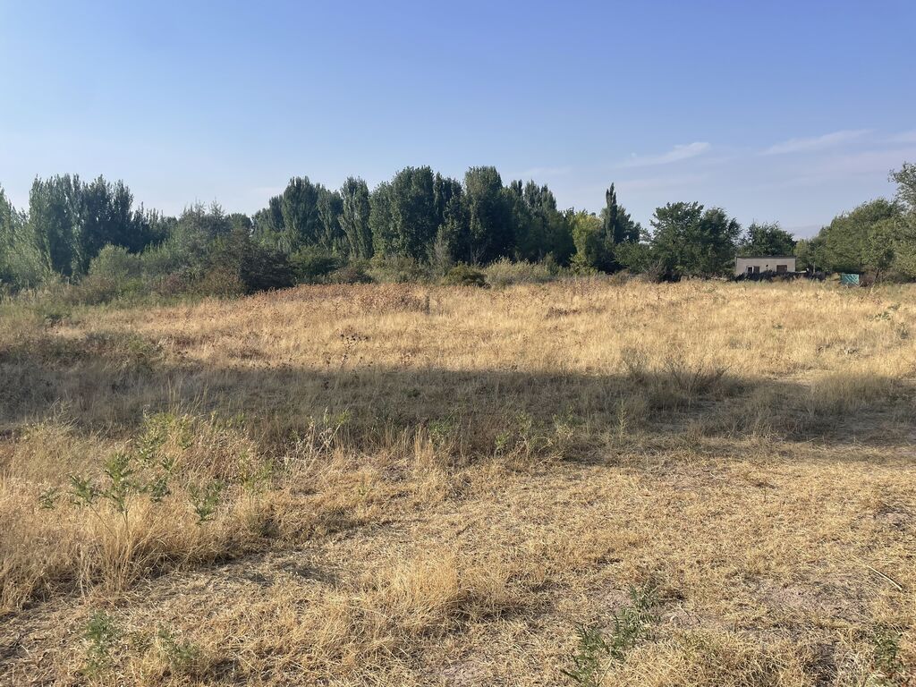 5 соток, Для строительства, Красная книга, Договор купли-продажи: фото 5