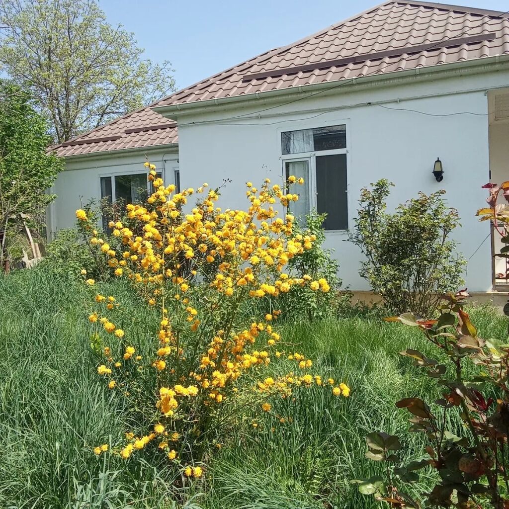 120 kv. m, 3 otaqlı, Kombi, Qaz, İşıq