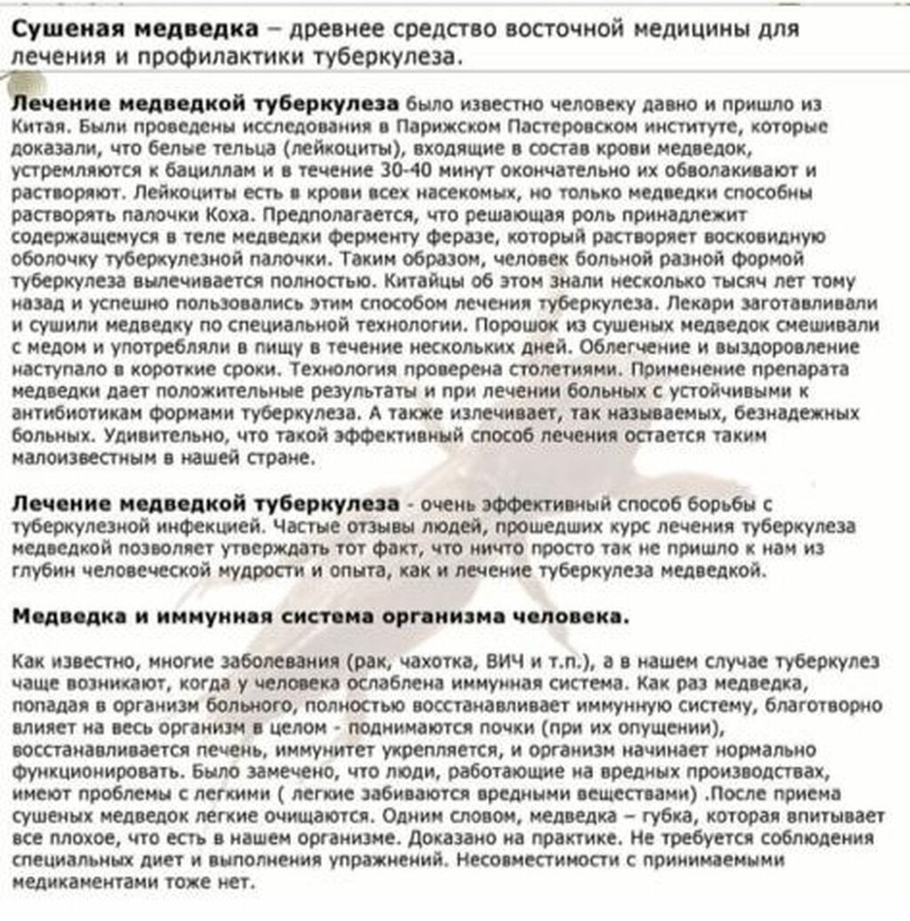 Медведки азиатские оригинал 200%%%.: 600 KGS ▷ Другое | Бишкек | 92680784 ᐈ  lalafo.kg