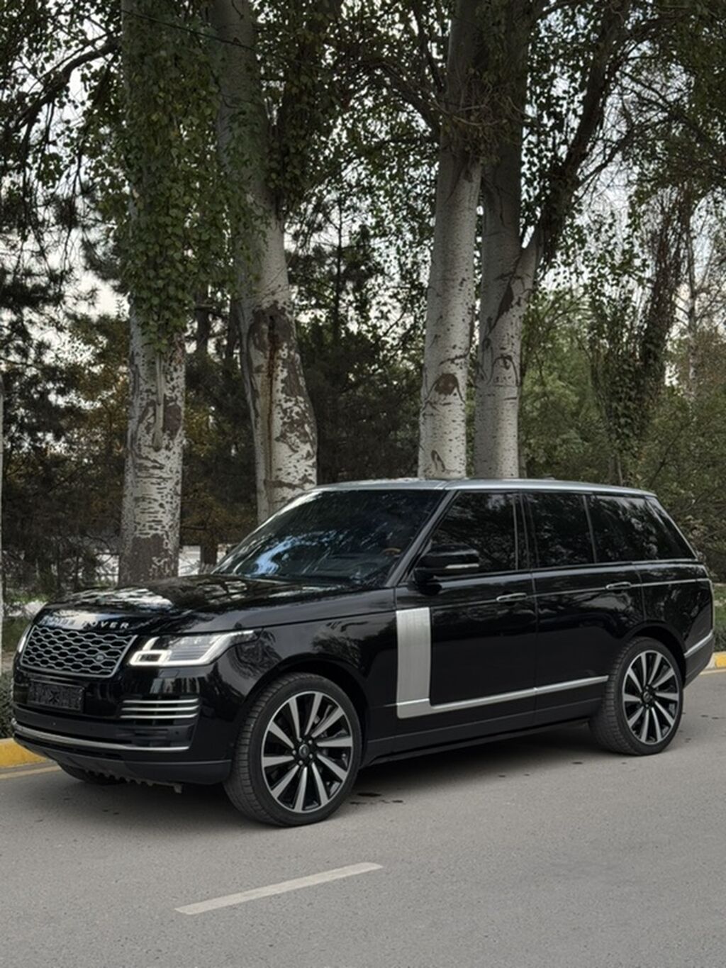 Land Rover Range Rover: 2018 г., 4.4 л, Автомат, Дизель, Внедорожник: фото 2
