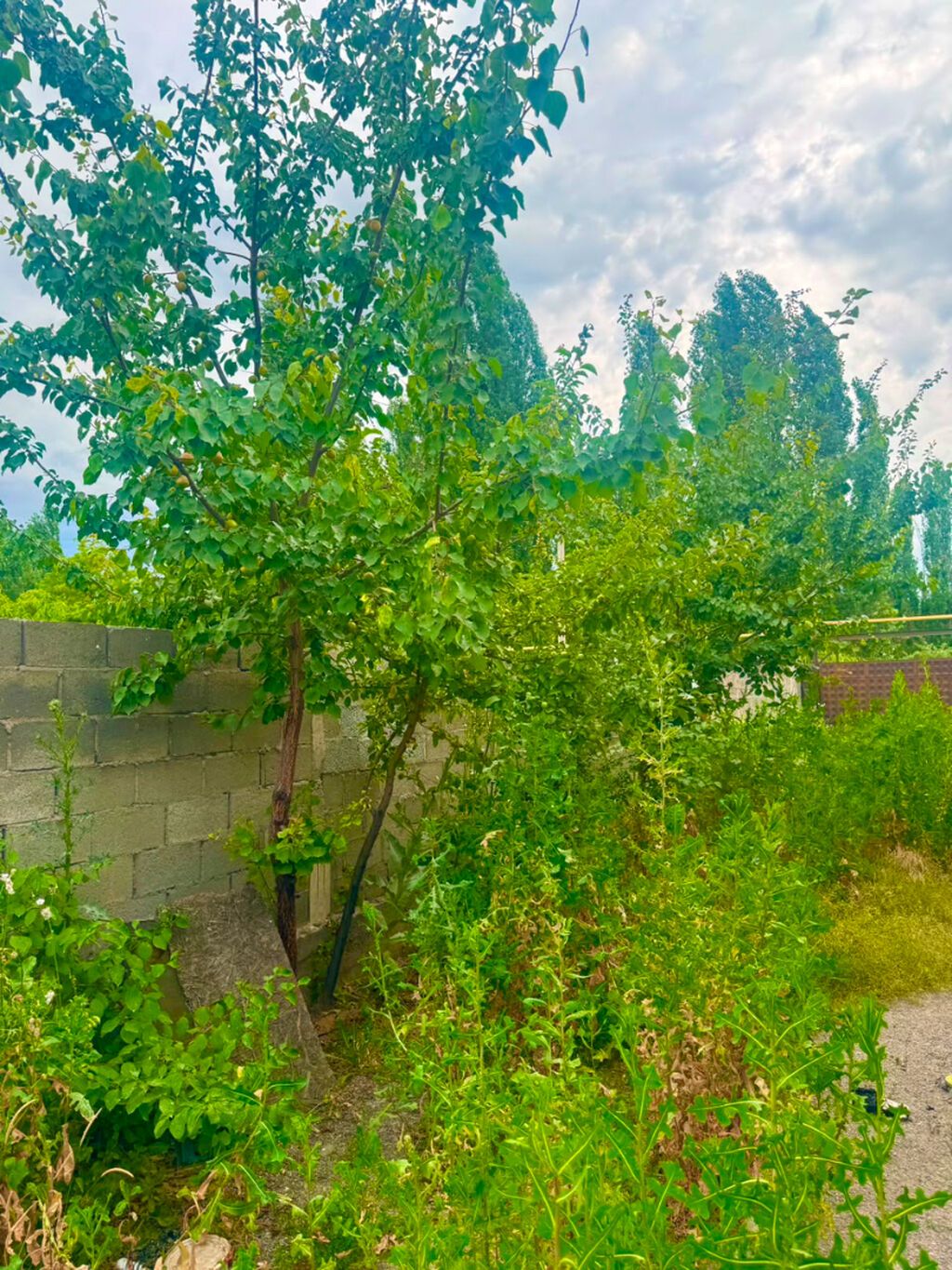 Продается дом в селе Новопавловка (Ленинский район) - дом новый: фото 7