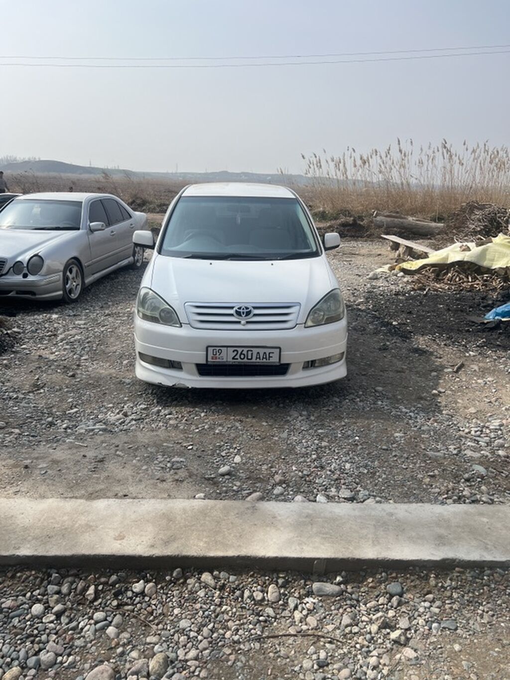 Toyota Ipsum