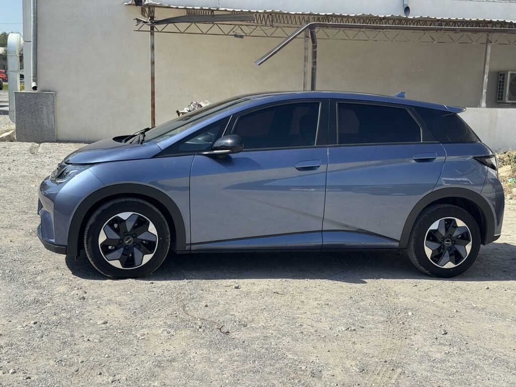 BYD Dolphin: 2025 г., Автомат, Электромобиль, Хэтчбэк: фото 3