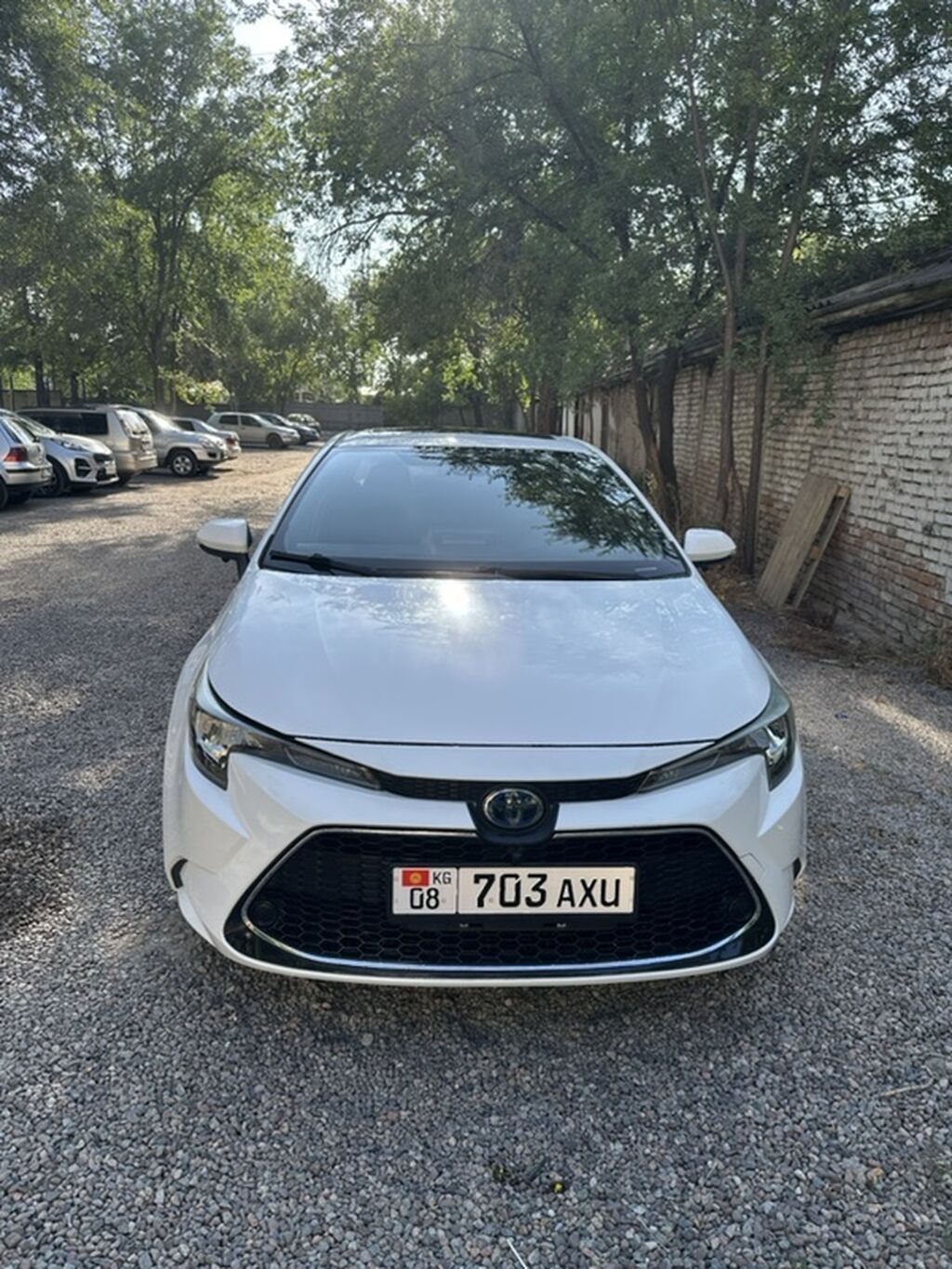 Toyota Corolla: 2022 г., Гибрид, Седан: фото 2