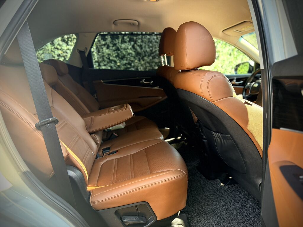 Kia Sorento: 2019 г., 2 л, Дизель: фото 8