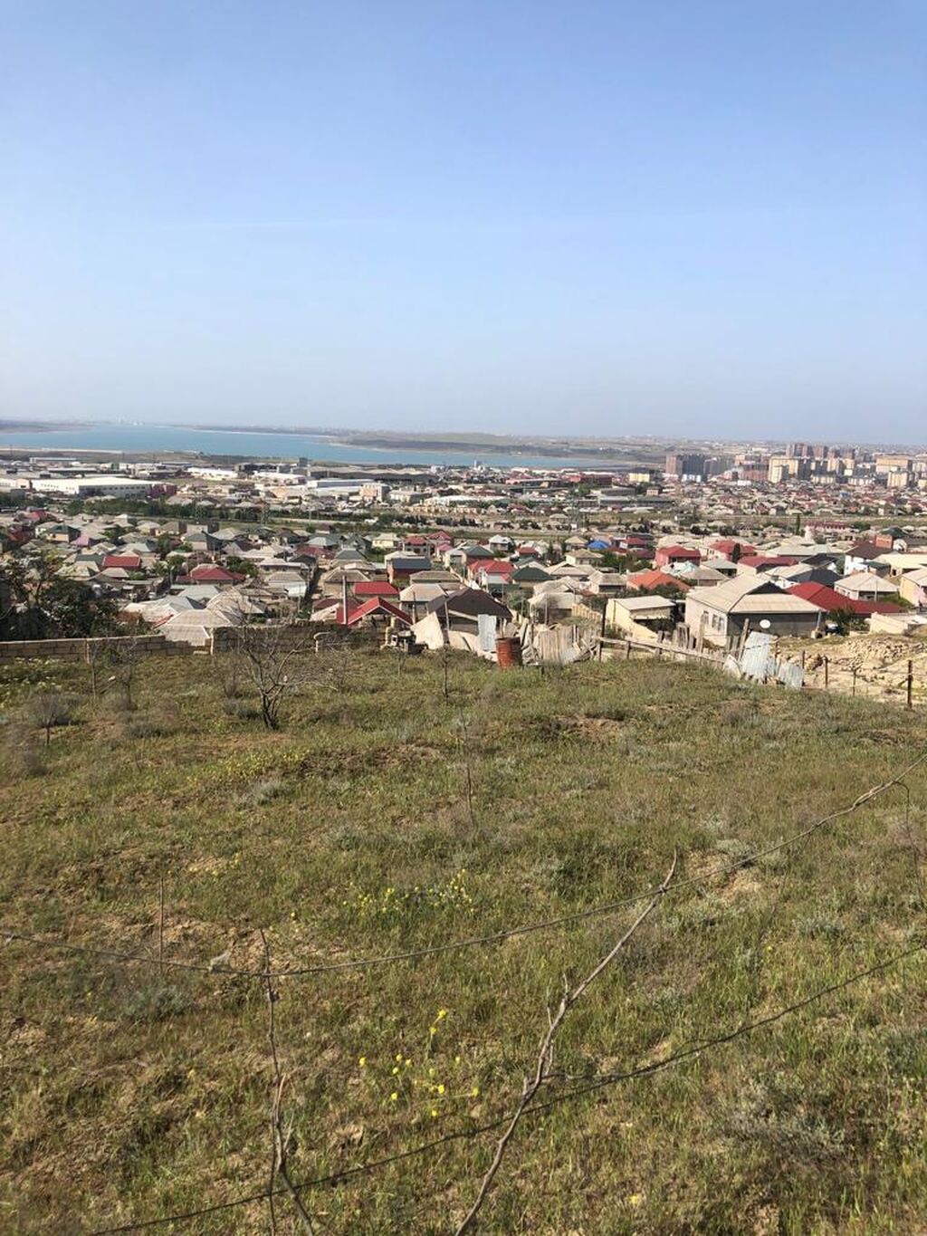 Tikinti