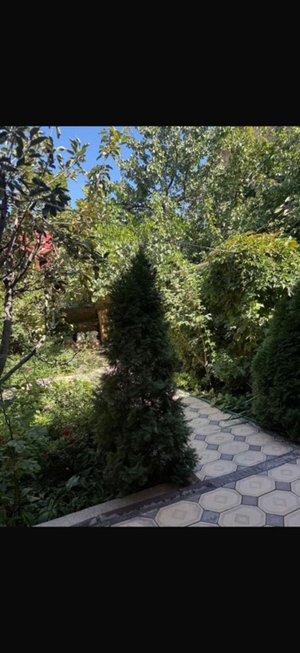 47 м², 1 комната, Рабочий Городок, Без животных: фото 6