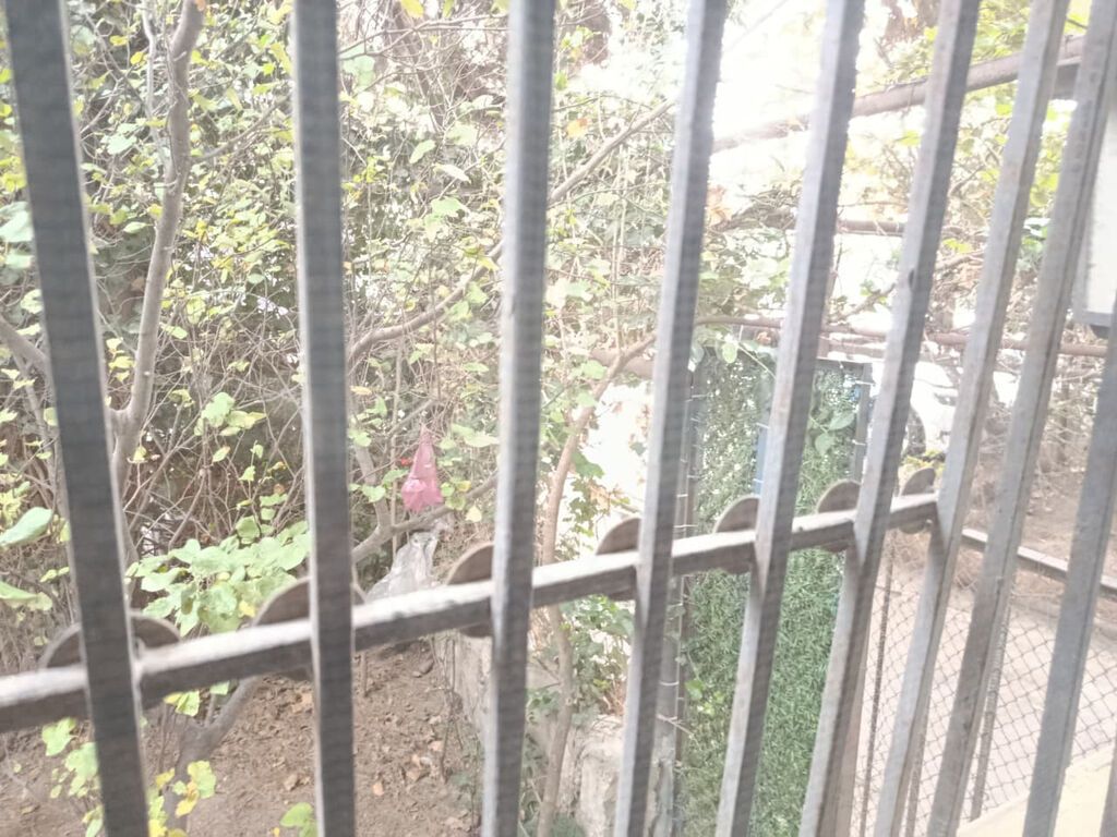 📍 Ünvan: Ələkbərov küçəsi, Space TV-nin arxası, Konservatoriyanın yanı