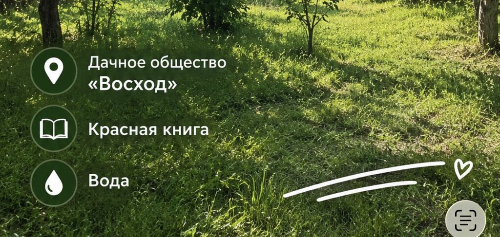 5 соток, Для сельского хозяйства, Красная книга: фото 3
