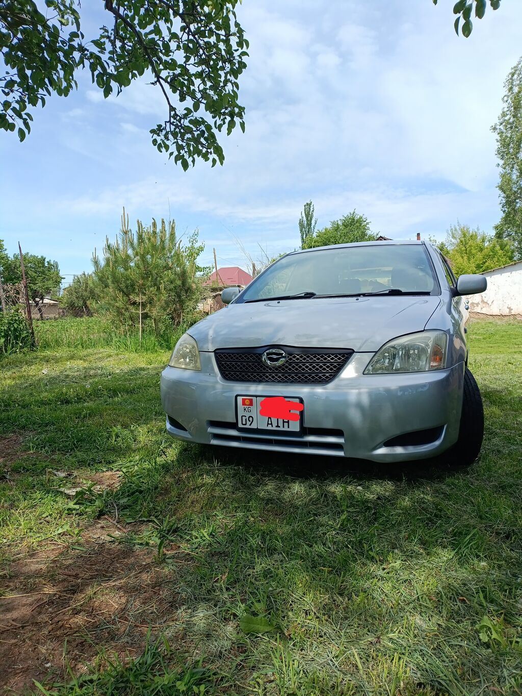 Toyota Allex: 2003 г., 1.5 л, Автомат, Бензин, Хэтчбэк: фото 3