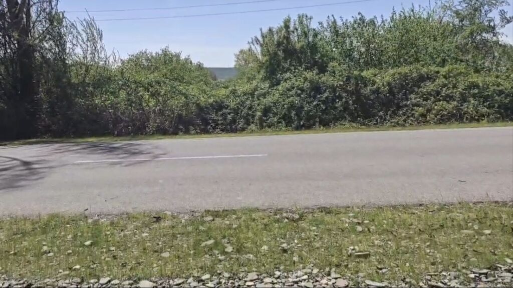 15 sot, Biznes üçün, Mülkiyyətçi, Kupça (Çıxarış)