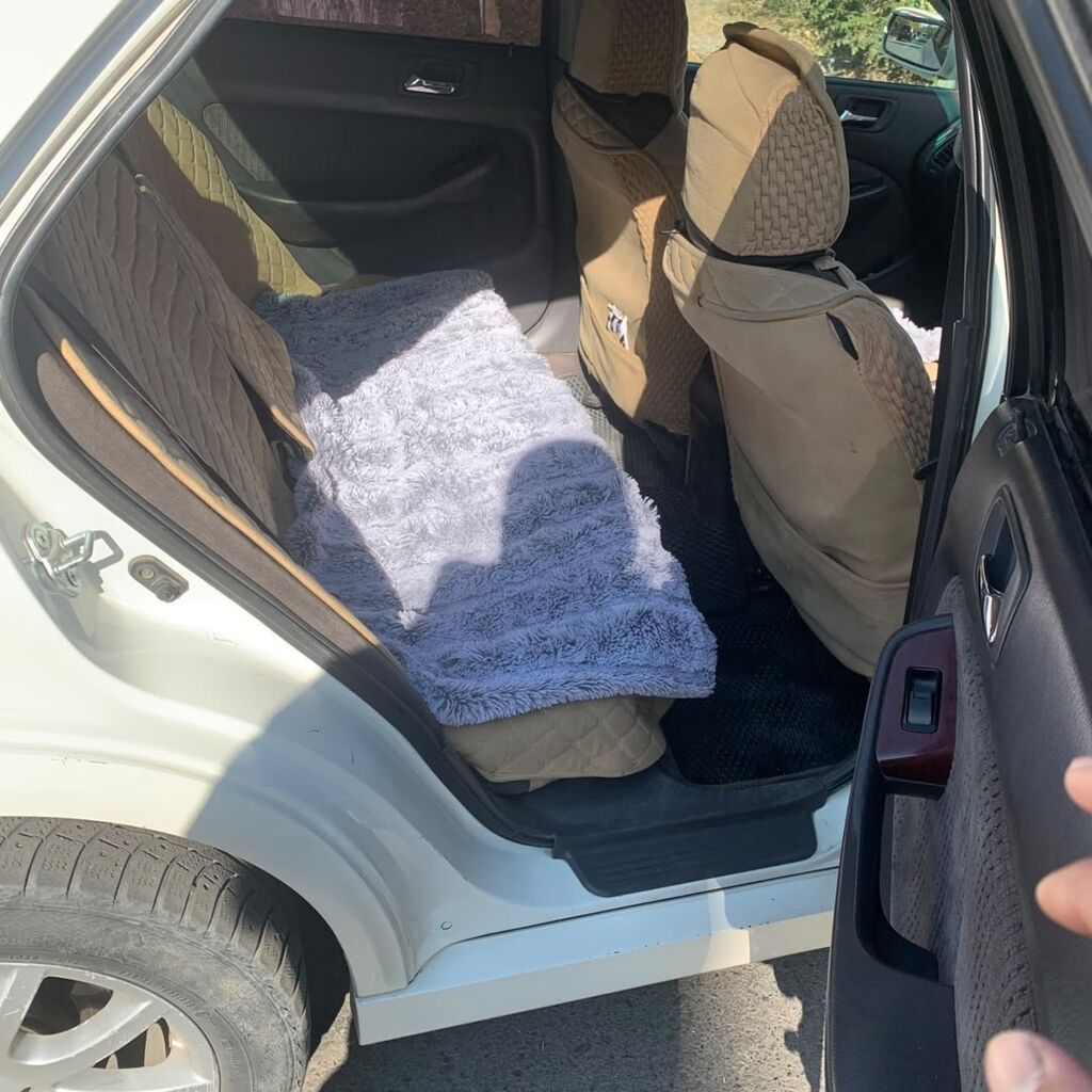 Honda Accord: 2000 г., 2 л, Автомат, Бензин, Седан: фото 6