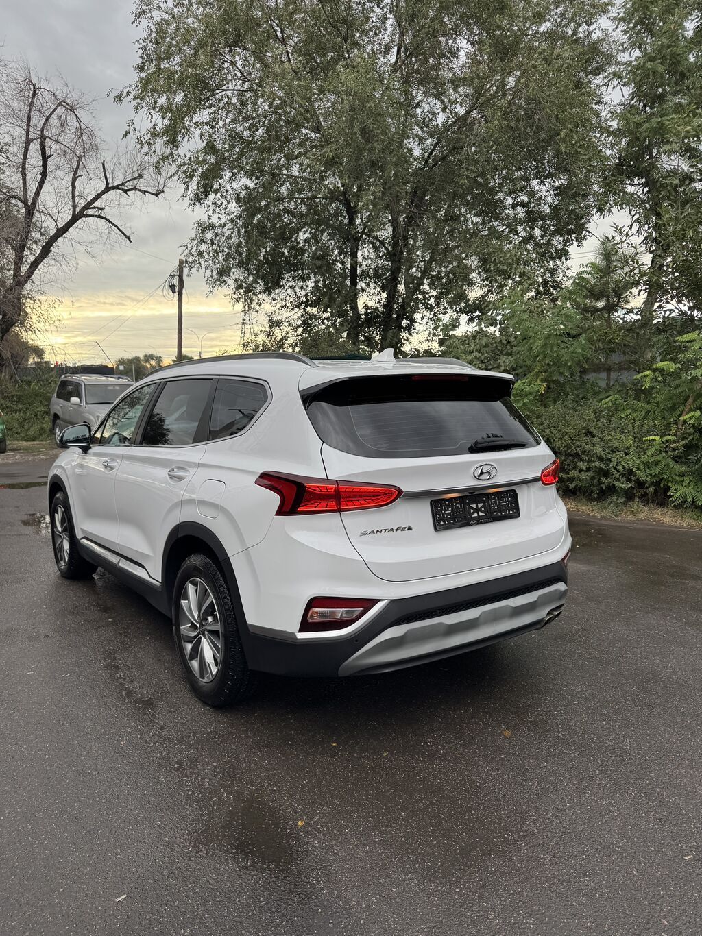 Hyundai Santa Fe: 2019 г., 2 л, Автомат, Дизель, Внедорожник: фото 4
