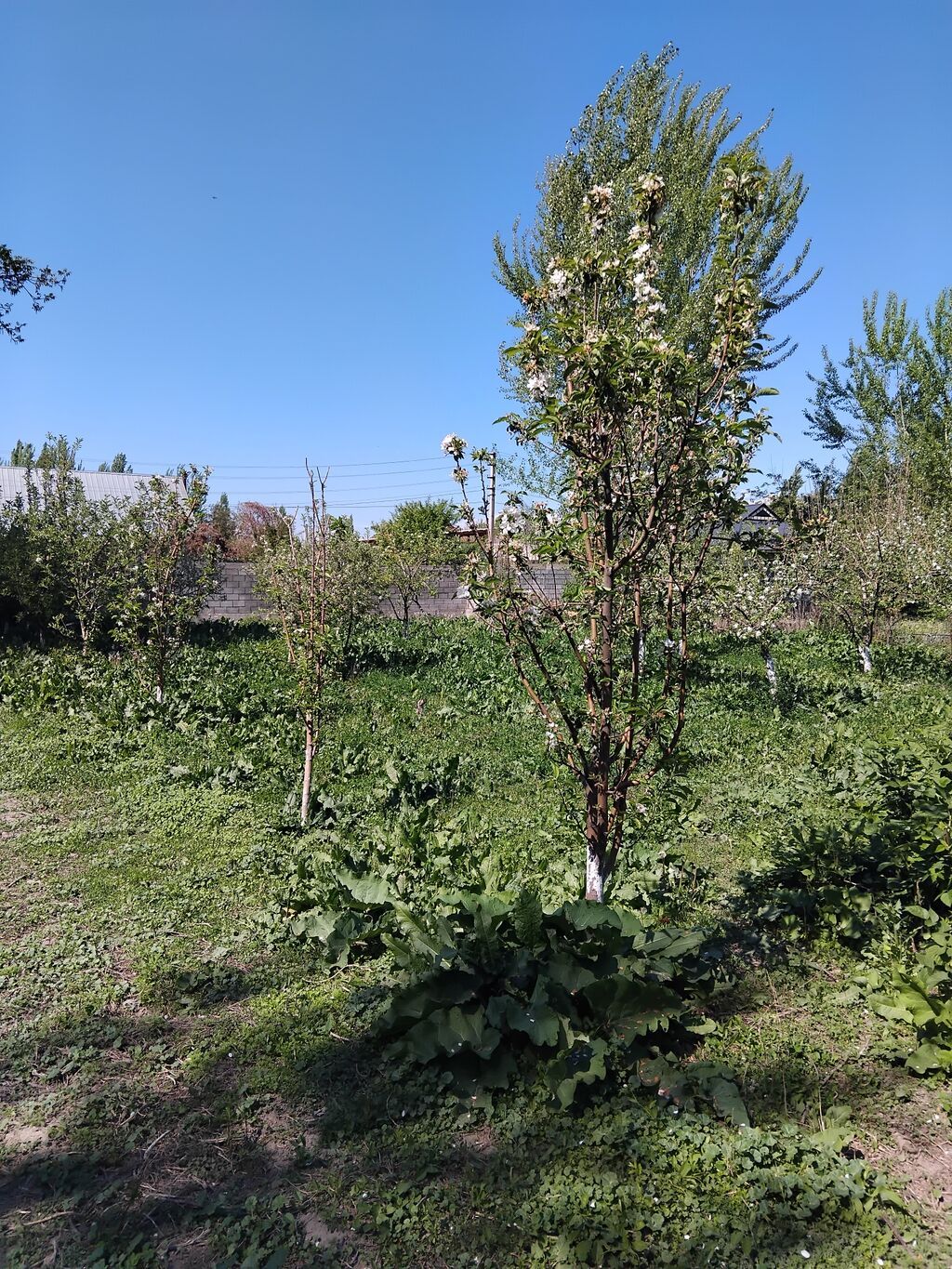 Продаётся дом,участок 20 соток.Свет,вода.Красная книга имеется.Дом в: фото 2