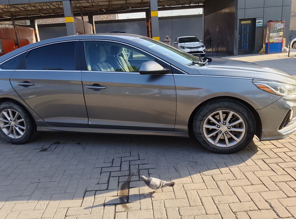 Hyundai Sonata: 2019 г., 2.4 л, Автомат, Бензин, Кроссовер: фото 4