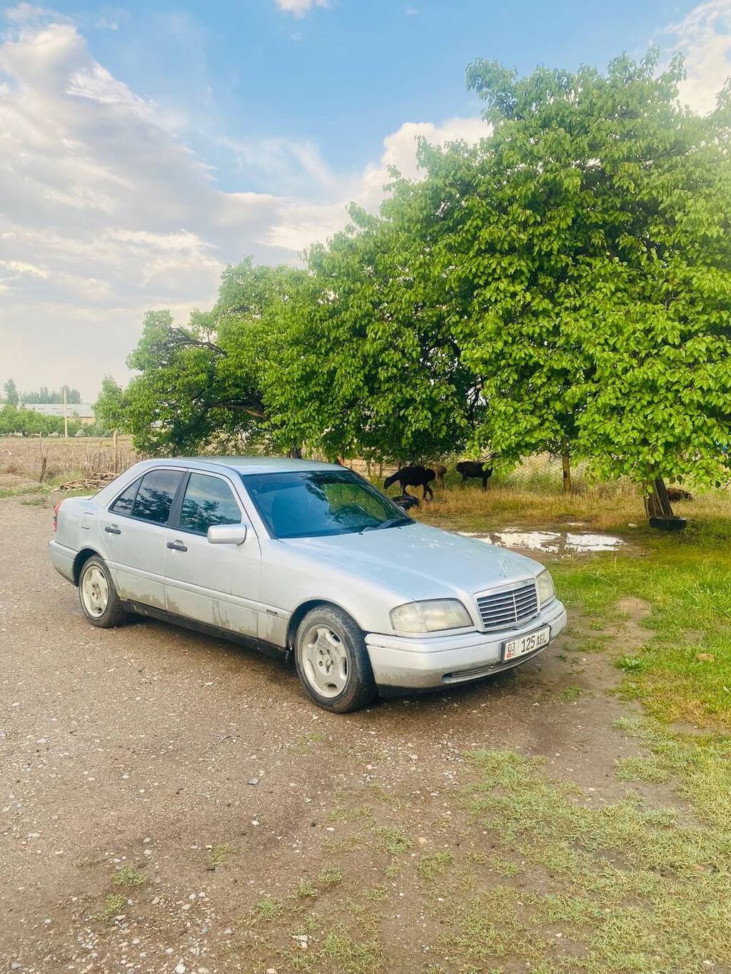 Mercedes-Benz C-Class: 1996 г., 1.8 л, Автомат, Бензин, Седан: фото 7