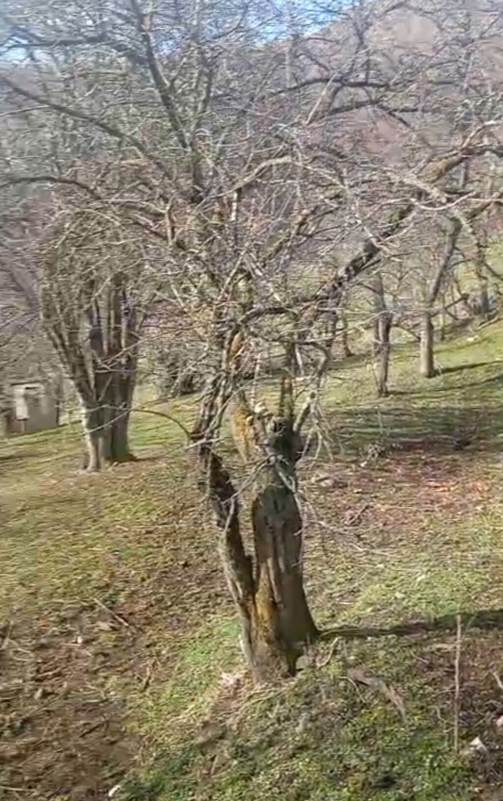 Dağ kəndində yerləşən həyətyanı torpaq sahəsi və köhnə tikili