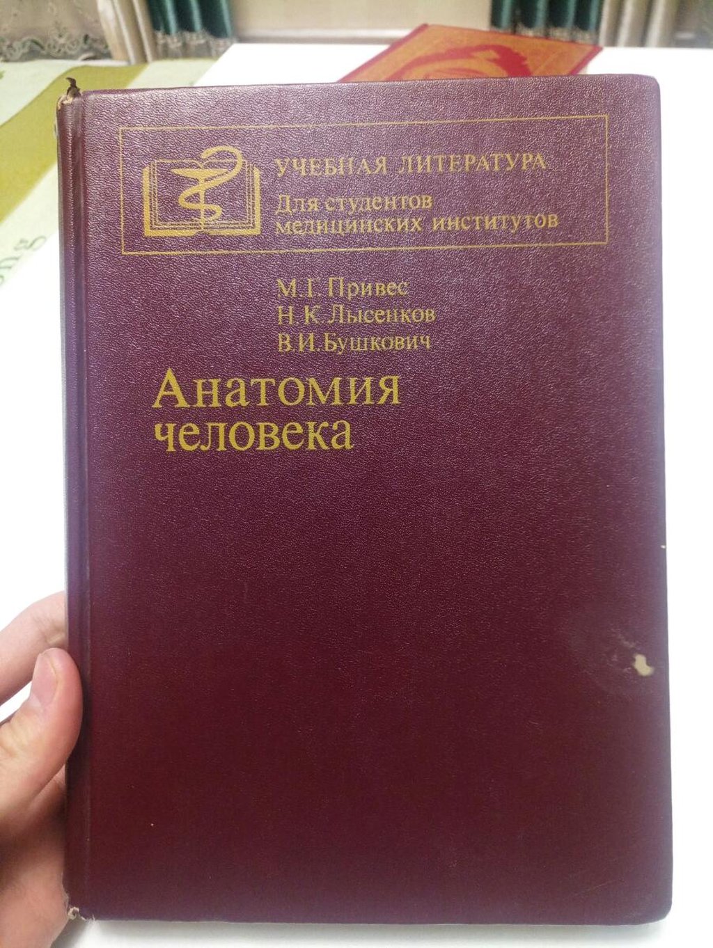 Привес анатомия. Анатомия человека привес Лысенков Бушкович. Анатомия человека 1974 привес. Атлас привеса анатомия. Привес анатомия человека 1985.