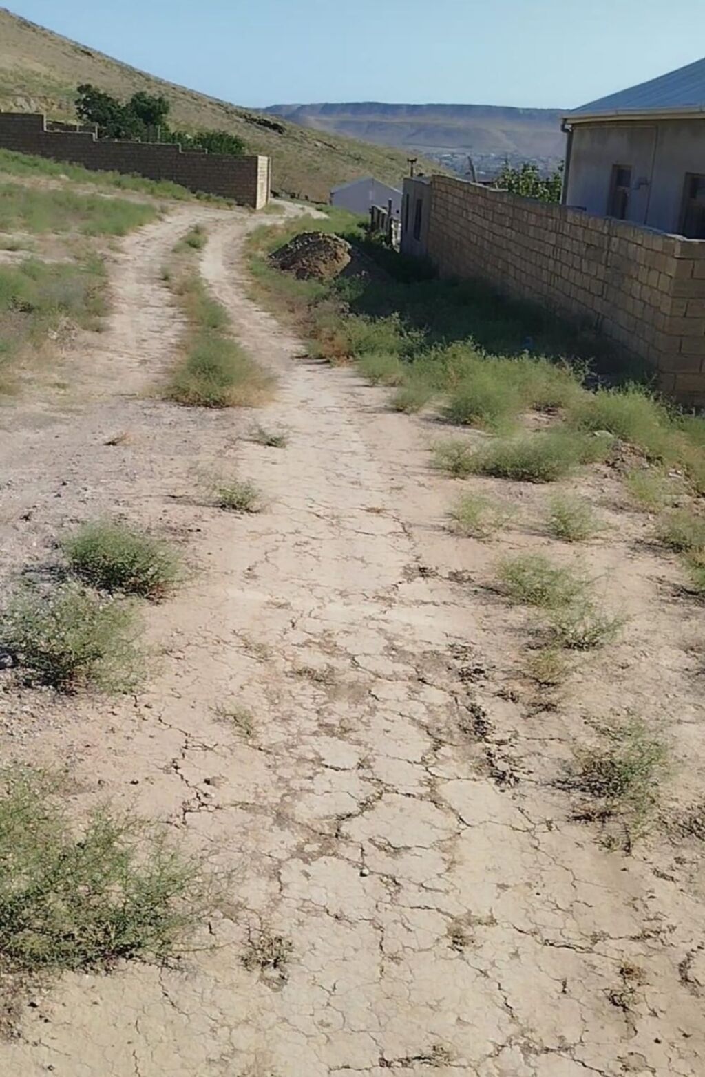 8 sot, Tikinti, Mülkiyyətçi, Kupça (Çıxarış)