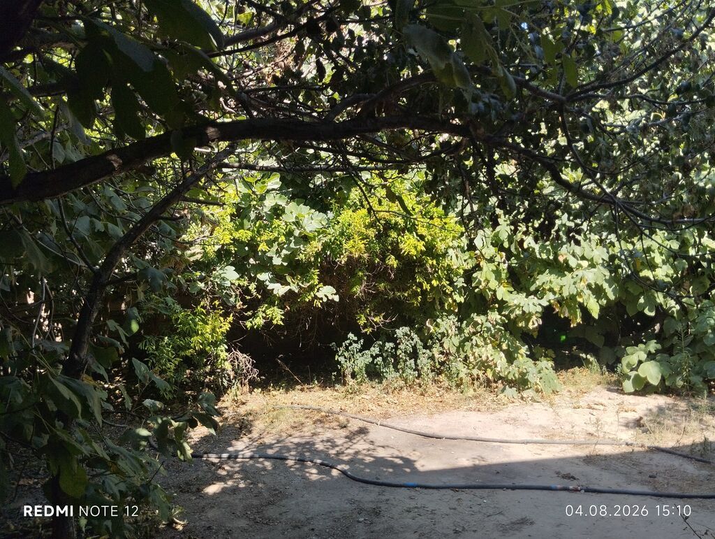 Digah, 85 kv. m, 3 otaqlı, Hovuzsuz, İşıq