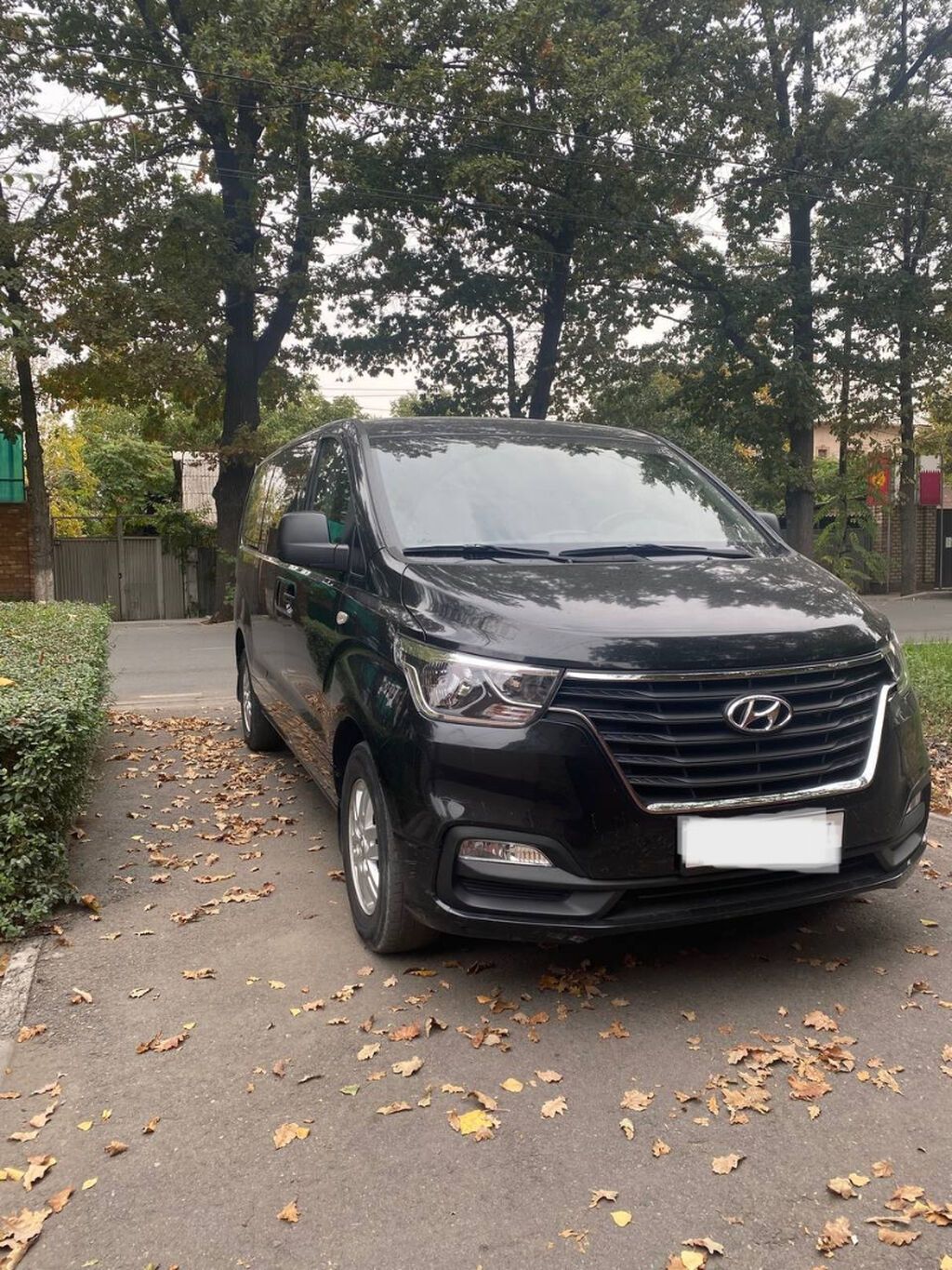 Hyundai Grand Starex: 2018 г., 2.5 л, Автомат, Дизель, Фургон: фото 1