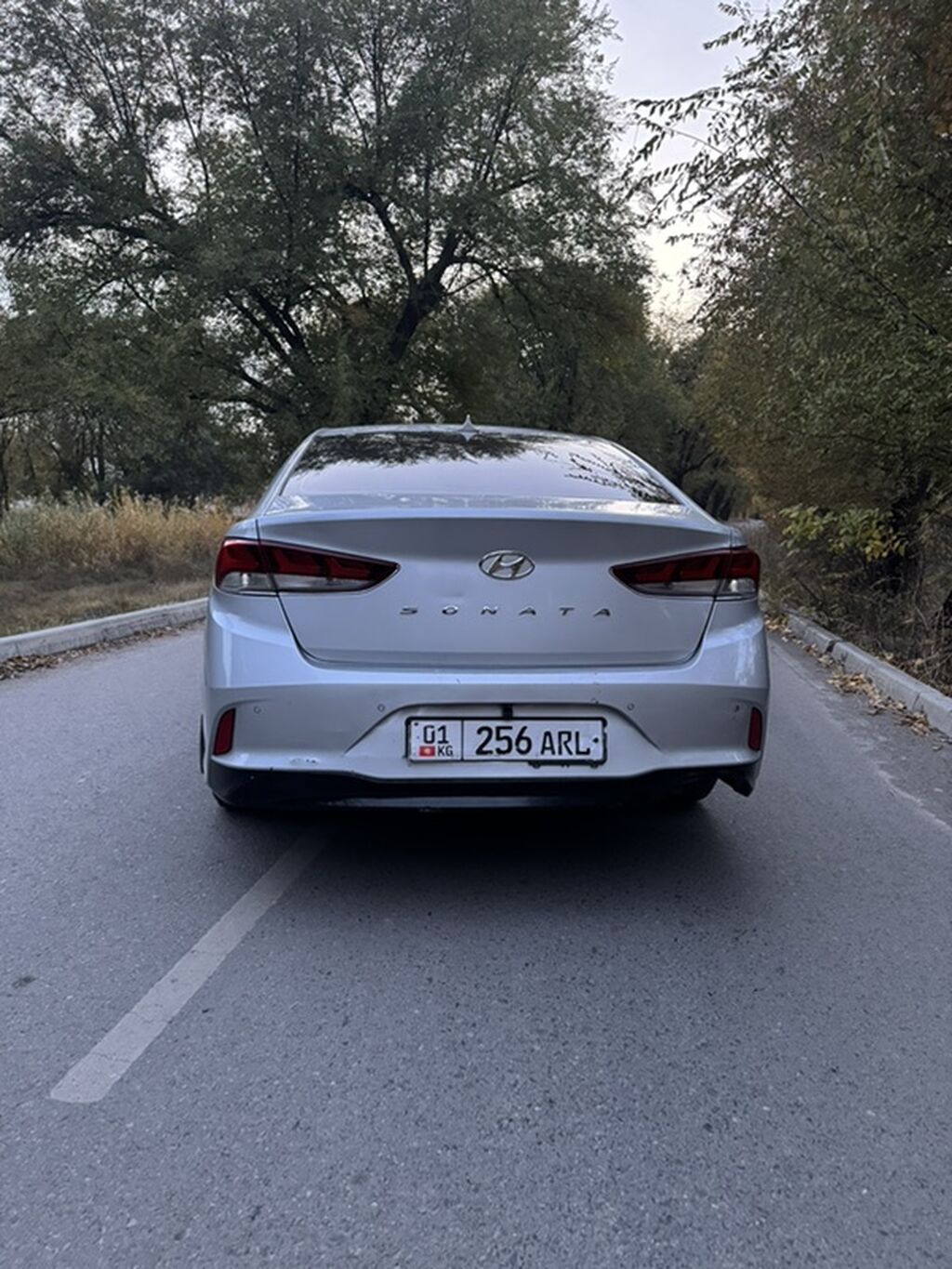 Hyundai Sonata: 2018 г., 2 л, Автомат, Газ, Седан: фото 8