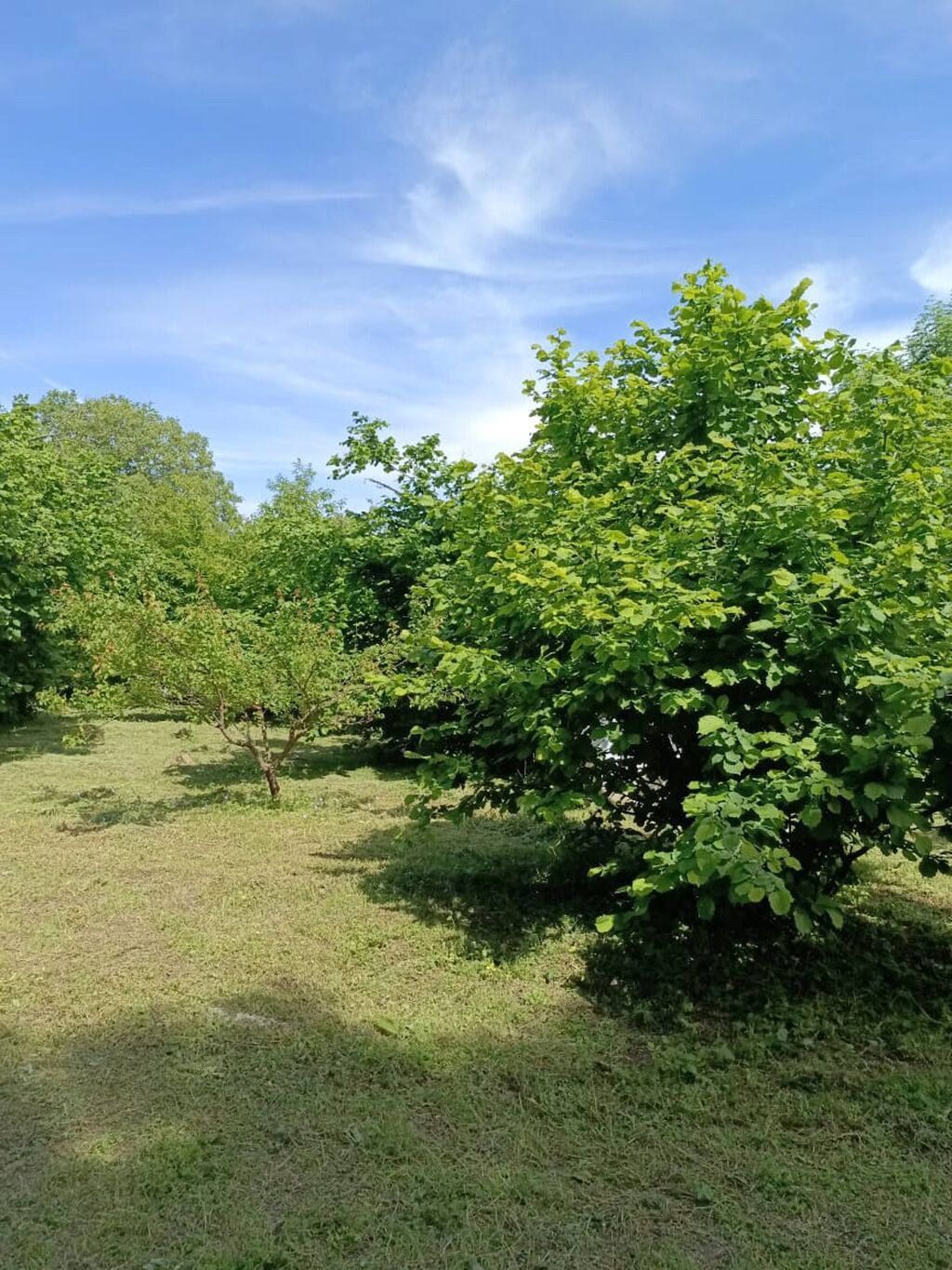 140 kv. m, 4 otaqlı, Hovuzsuz, Kanalizasiya, Kombi, Qaz