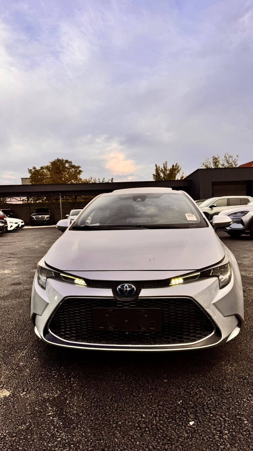 Toyota Corolla: 2019 г., 1.8 л, Автомат, Гибрид, Седан: фото 3