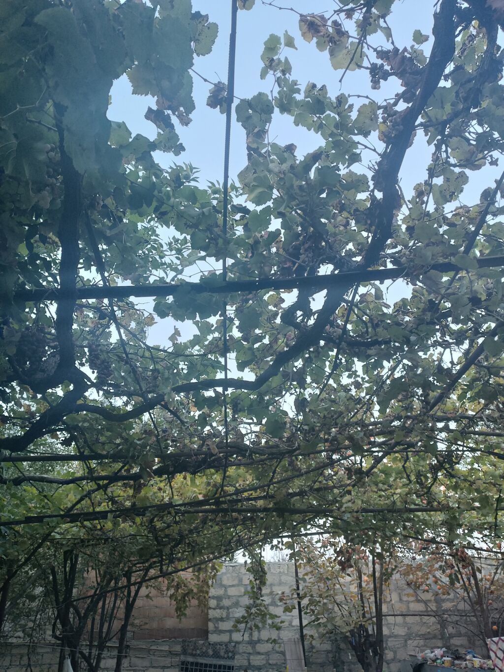 8 otaq, 90 kv. m, Orta təmir