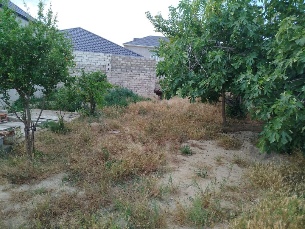 4 sot, Tikinti, Mülkiyyətçi, Kupça (Çıxarış)