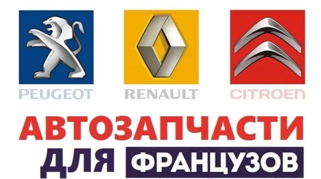 Запчасти и жидкости для французов только под заказ Renault Samsung: фото 4
