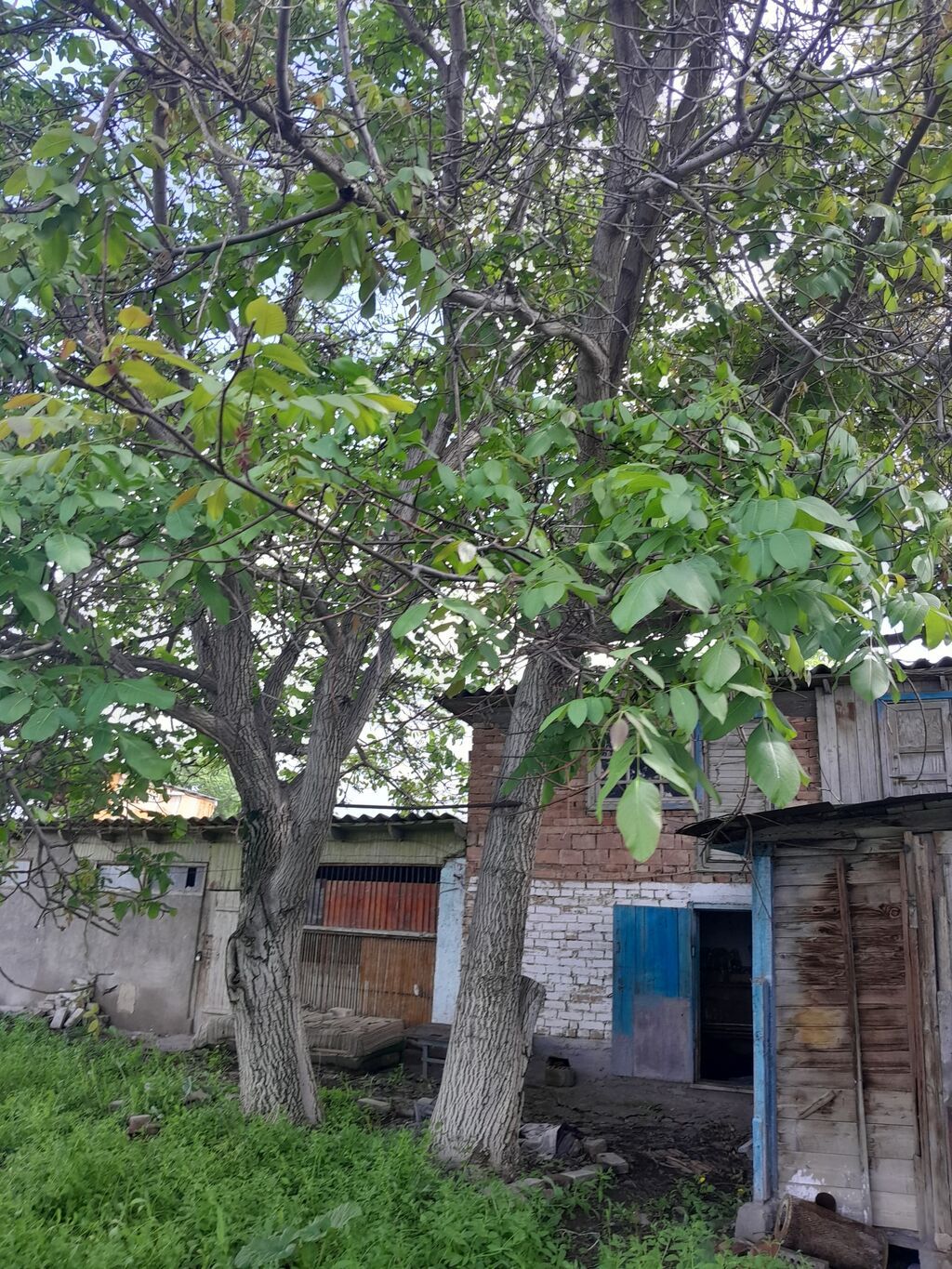 Продаётся жилой старый дом.Кемин Орловка . Идеальный вариант для тех: фото 4
